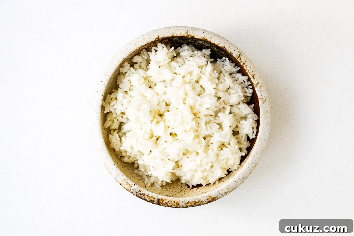 A ceramic bowl with cooked medium-grain white rice.