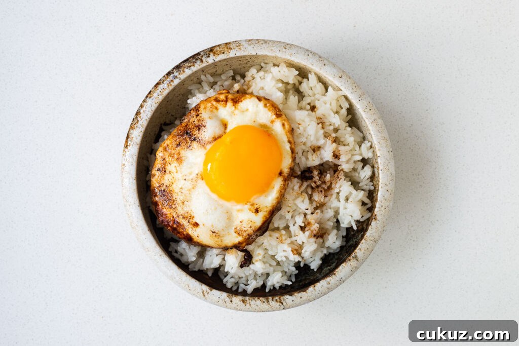 A ceramic bowl with cooked white rice topped with a fried egg with crunchy edges and runny yolk.