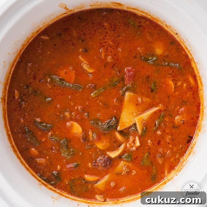 a bowl of lasagna soup