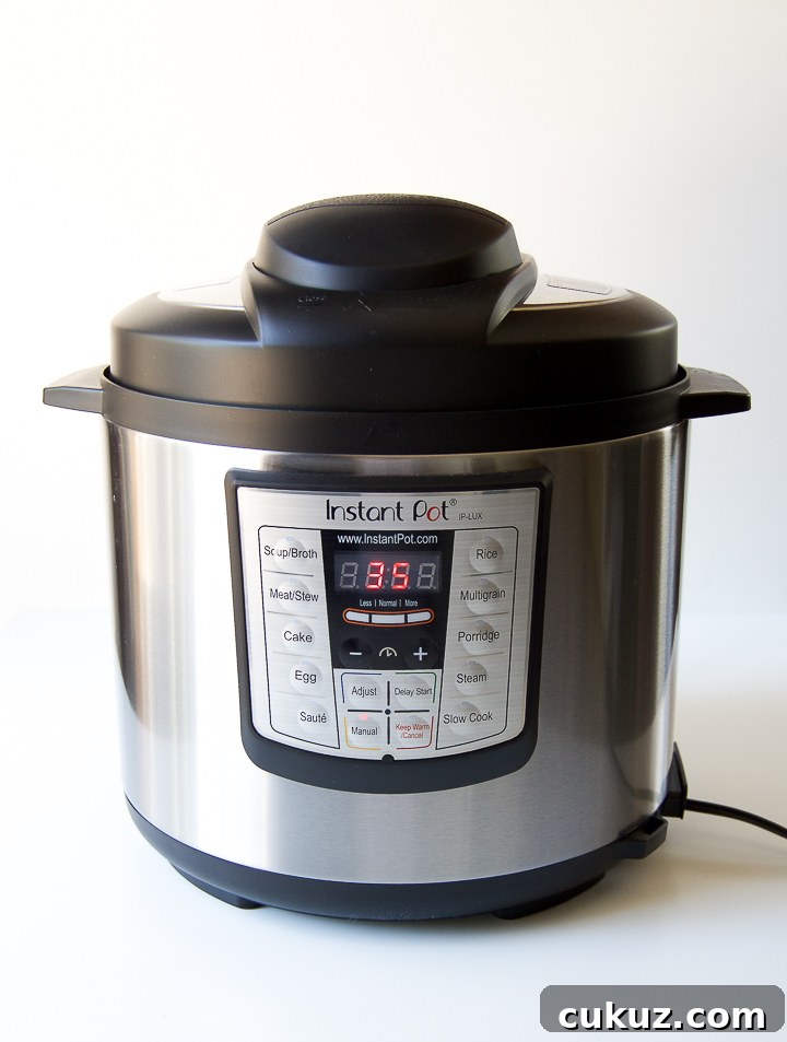 An instant pot
