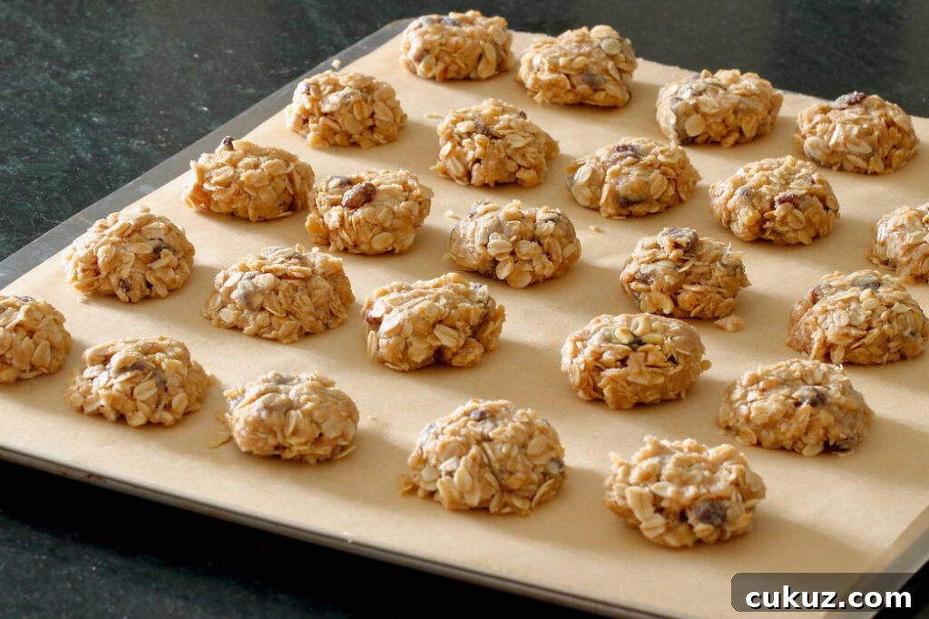 cookies on cookie sheet ready for the oven