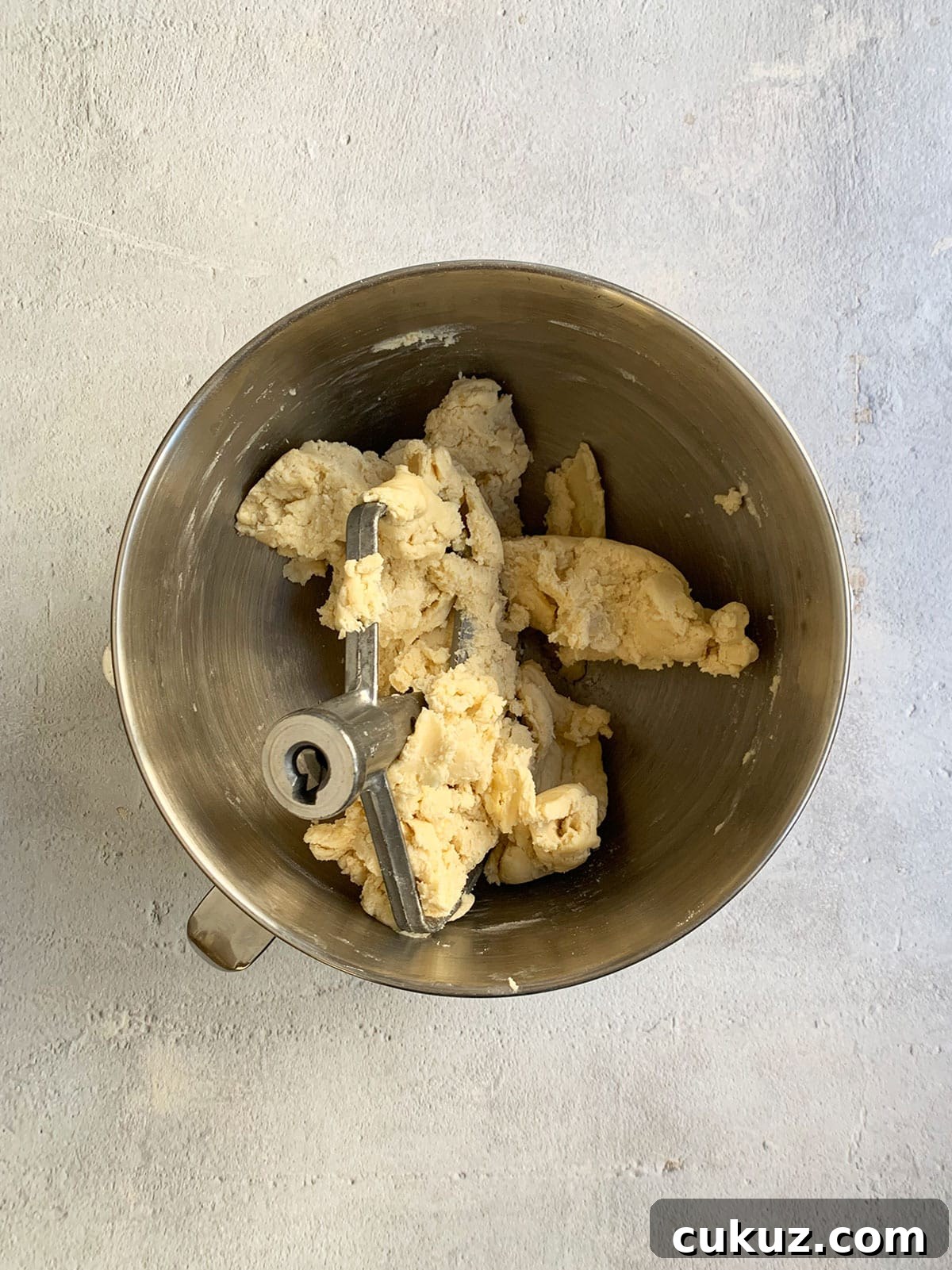 Pie dough in the stand mixer bowl after water was added and it came together.