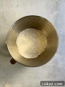 Dry ingredients mixed together in the stand up mixer bowl.
