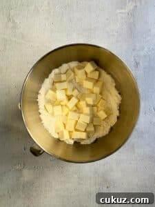 Cubes of butter over flour mixture in mixer bowl.