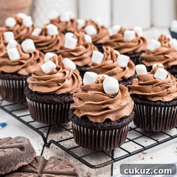 Close up of the cupcakes on a cooling rack for feature image.