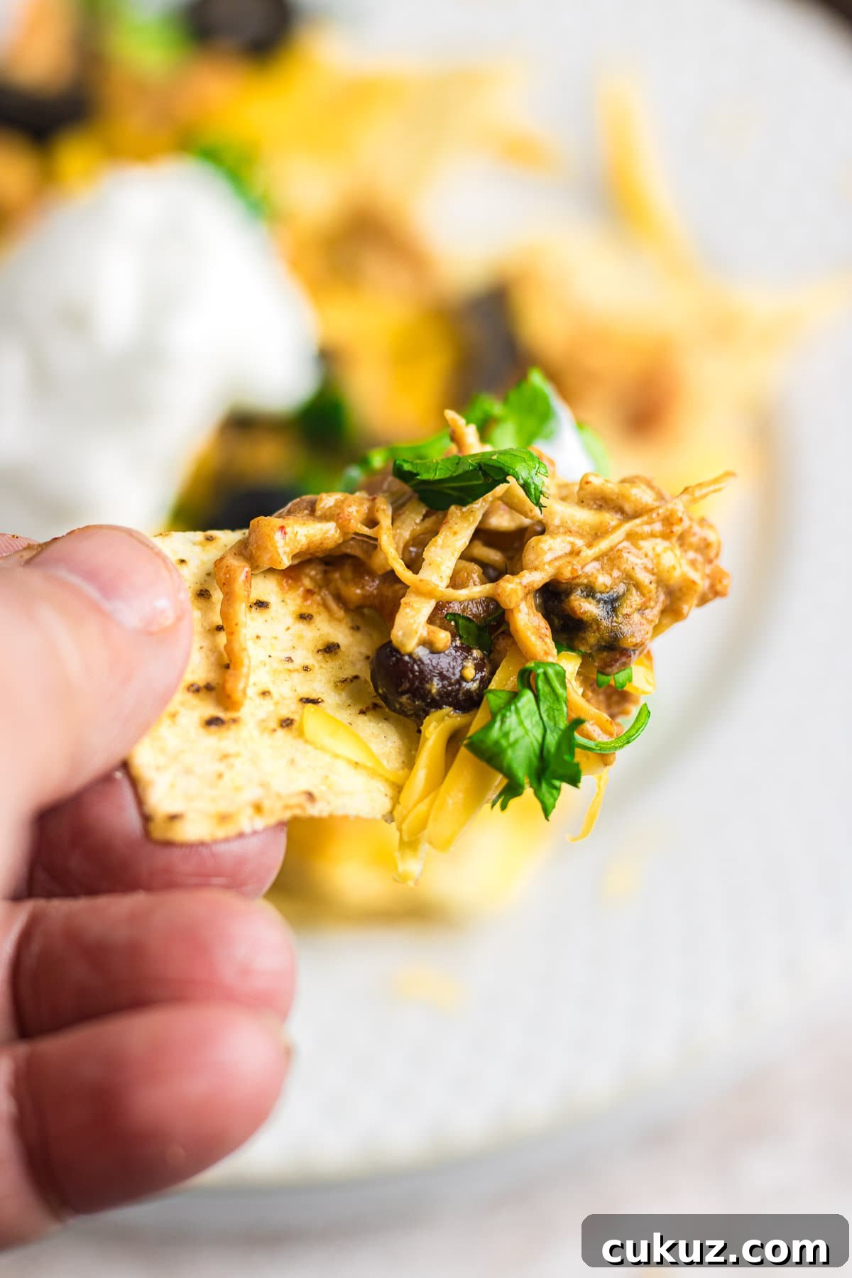 Creamy chicken dip is scooped onto a nacho chip.