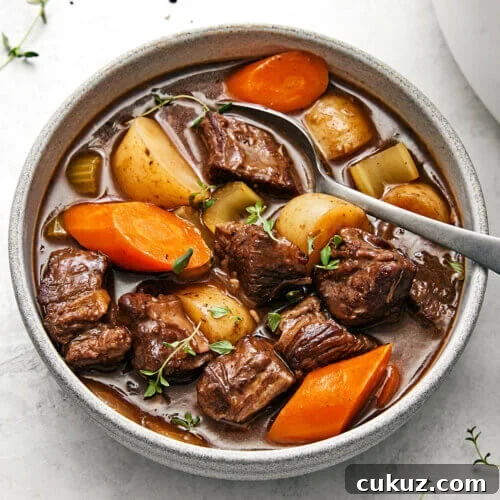 A big bowl of beef stew