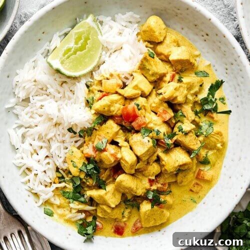 A plate of rice and coconut curry chicken.
