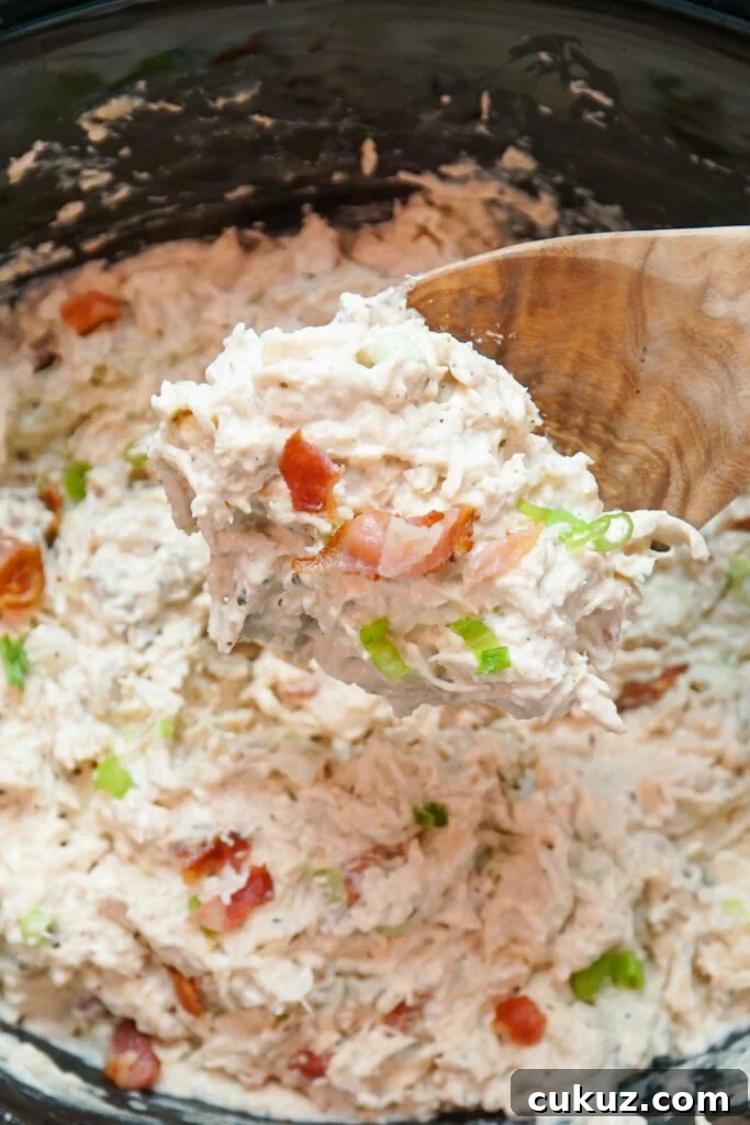 Close up of crack crock pot chicken on a wooden spoon.