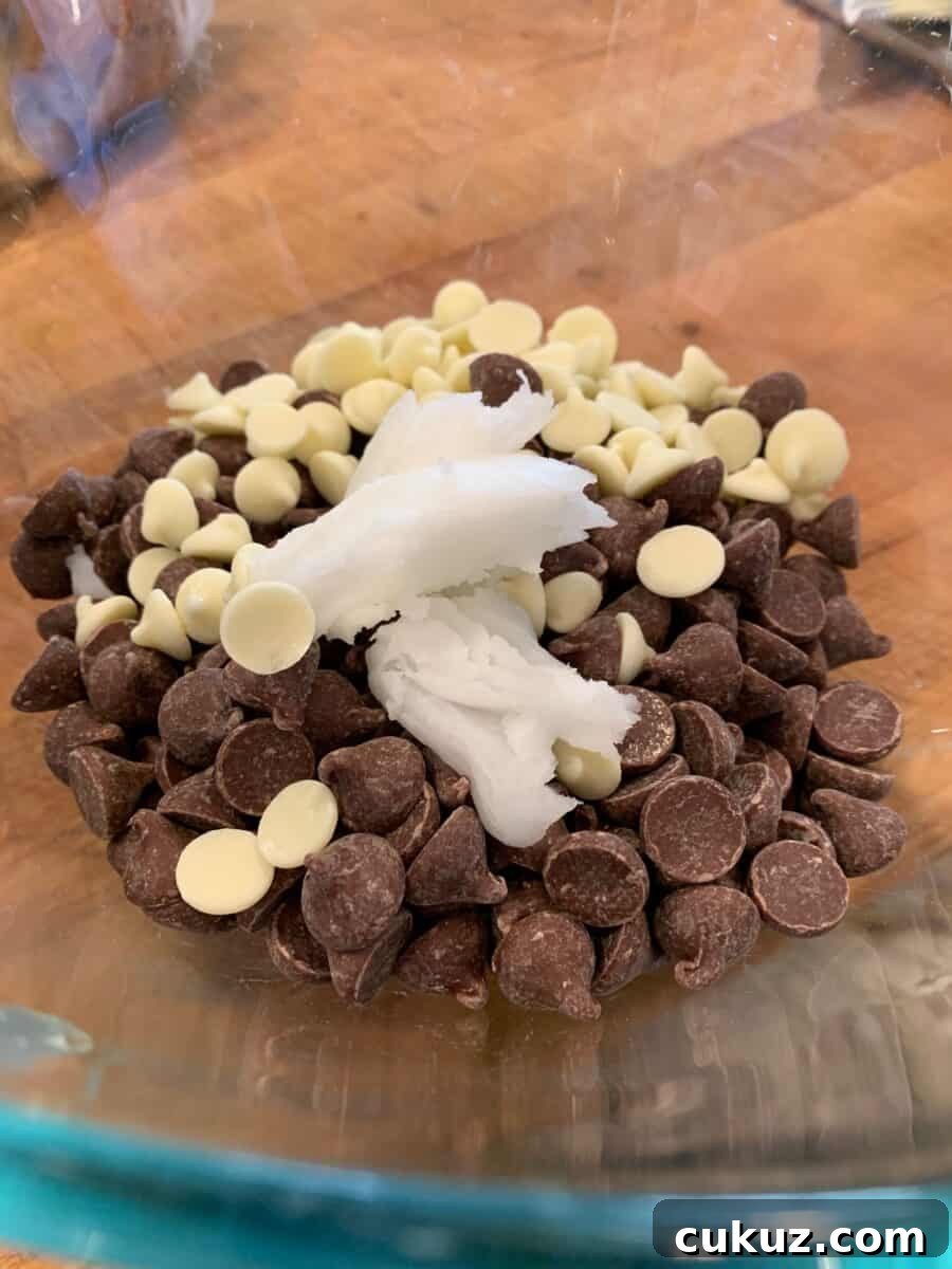 Vanilla and chocolate chips with a dollop of coconut oil on top.