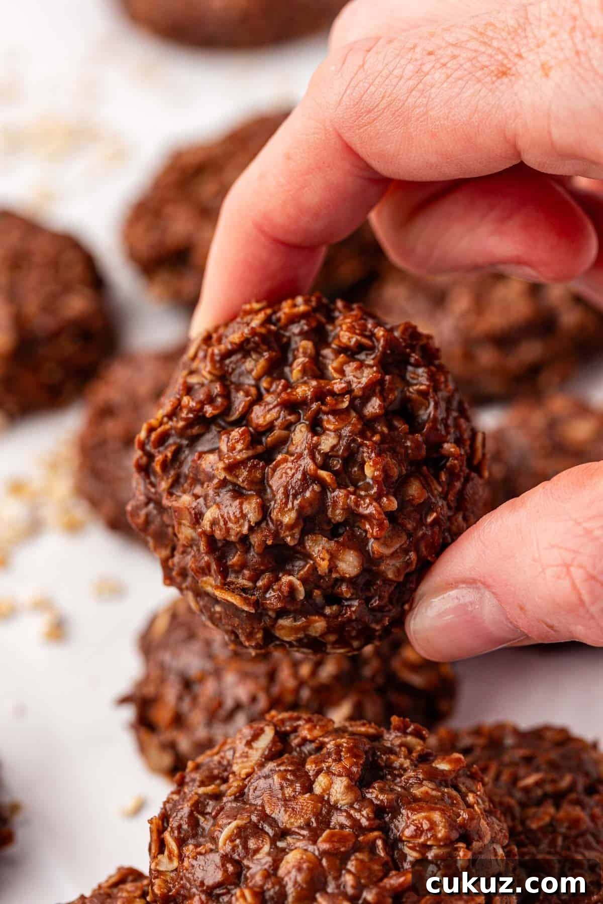 Finished healthy no bake cookies