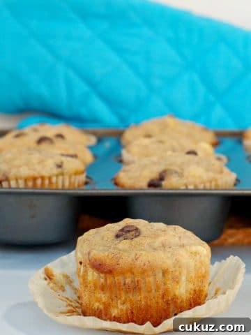 healthy chocolate chip banana muffins in muffin tin in background, with muffin on wrapper in front