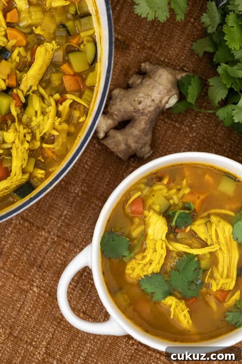 curry chicken and rice soup in a bowl and the dutch oven. side of ginger and cilantro