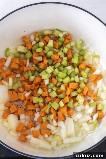 carrots, celery, and onion added