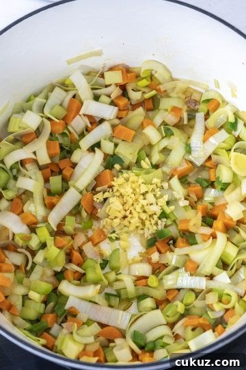 garlic and ginger added