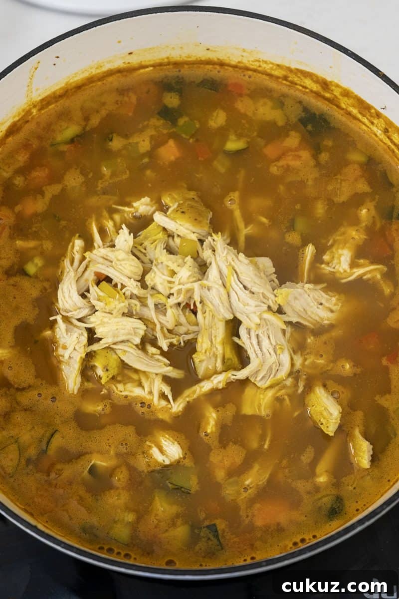 shredded chicken added back to the soup