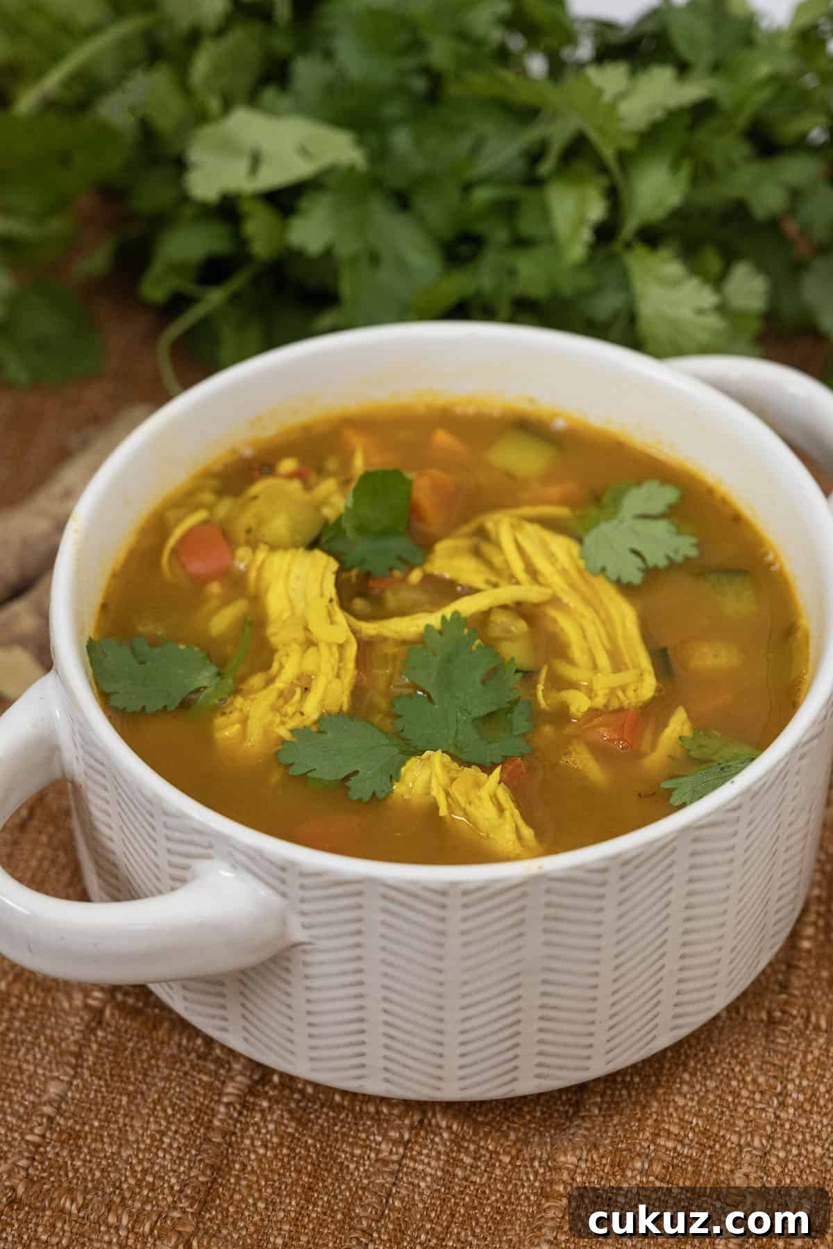 curry chicken and rice soup with a side of cilantro