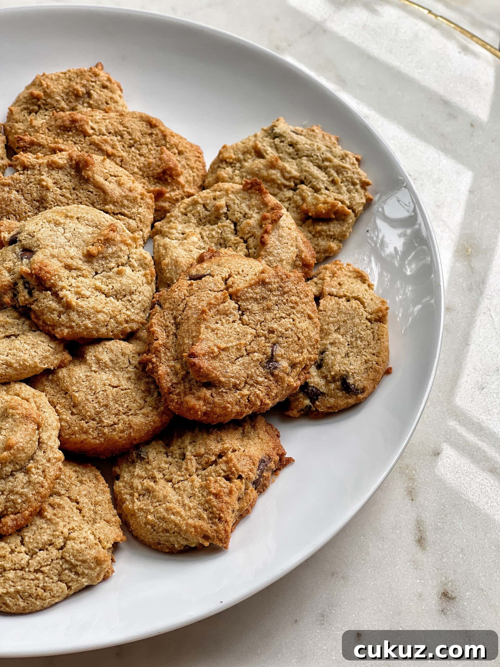gluten-free egg free chocolate chip cookies
