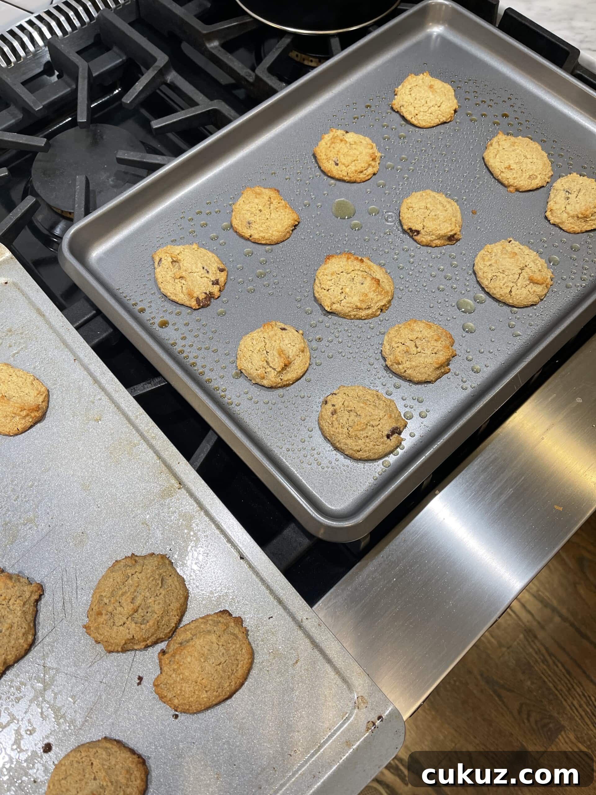 gluten-free egg free chocolate chip cookies